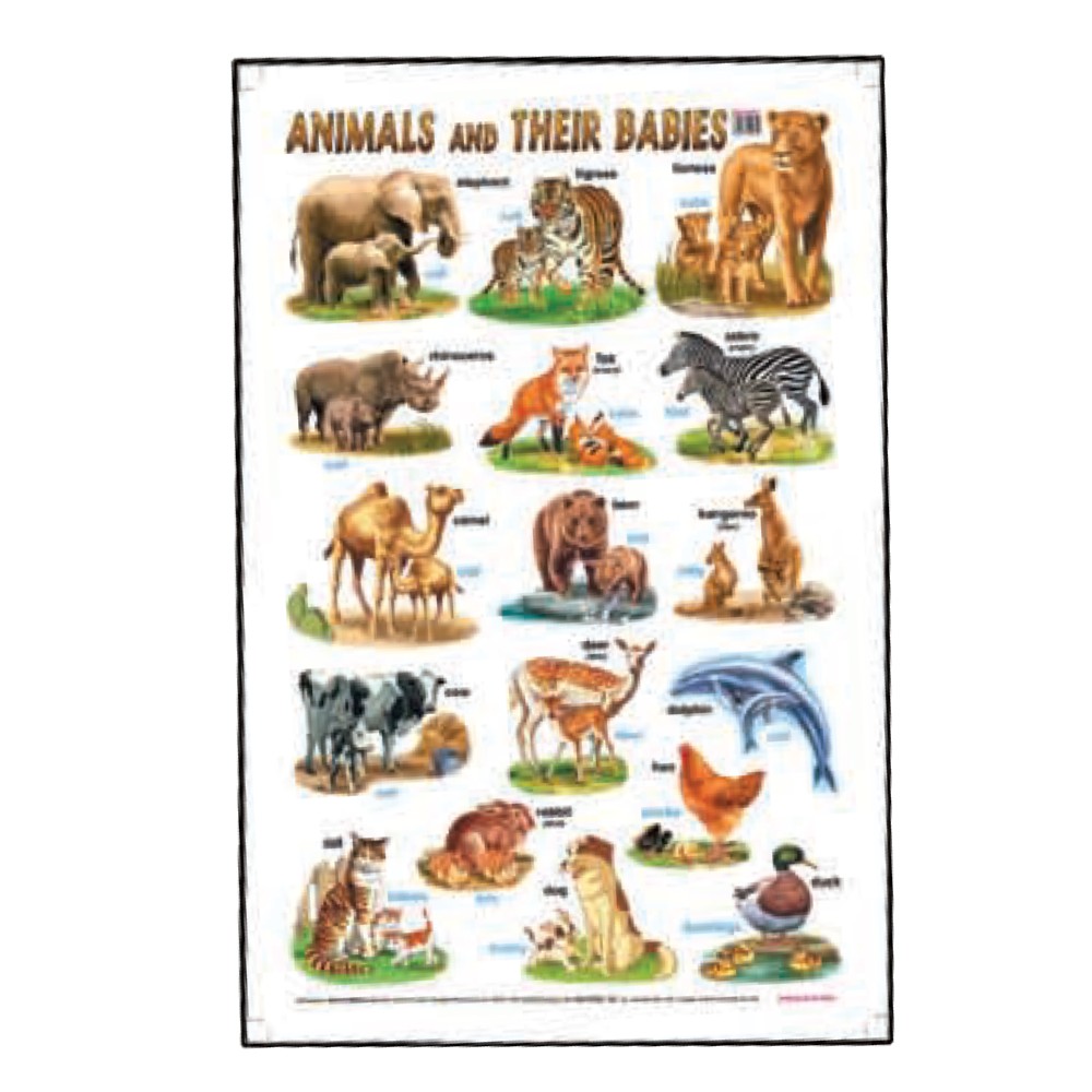 Animals and Their Babies - Educational Chart (MM01621) - Click Image to Close