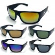 Biohazard Sports Sunglasses (2 Style Mixed) SUA-BI003/5