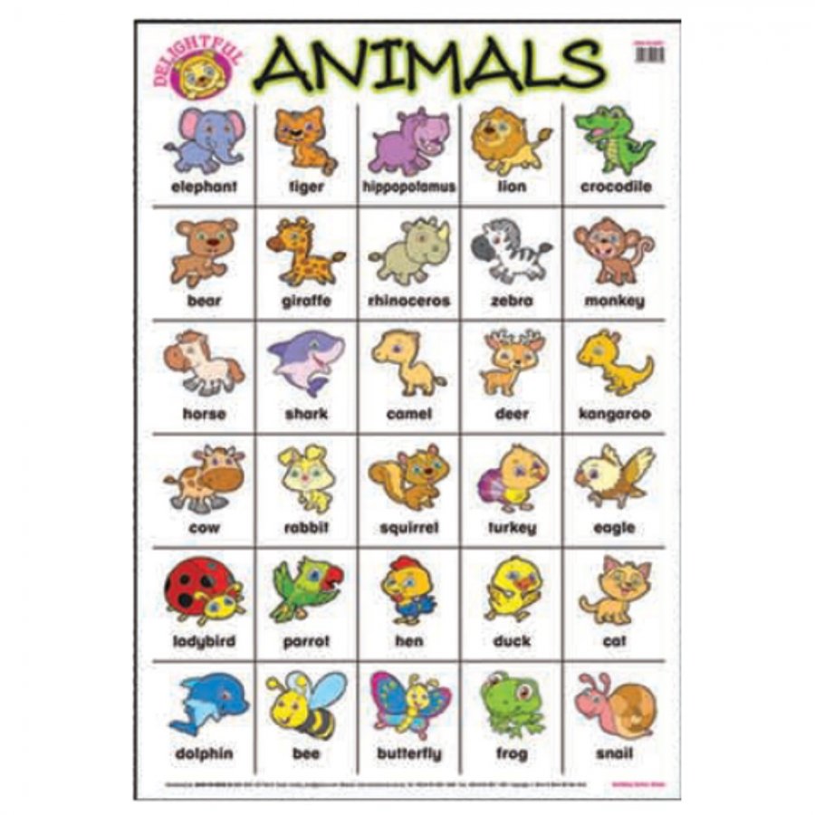Animals - Educational Chart (MM00624) - Click Image to Close