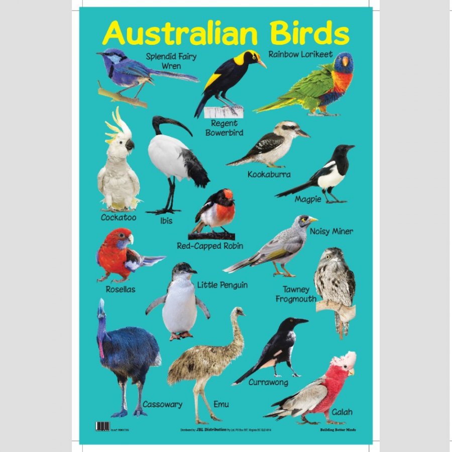 Australian Birds - Educational Chart (MM07306)