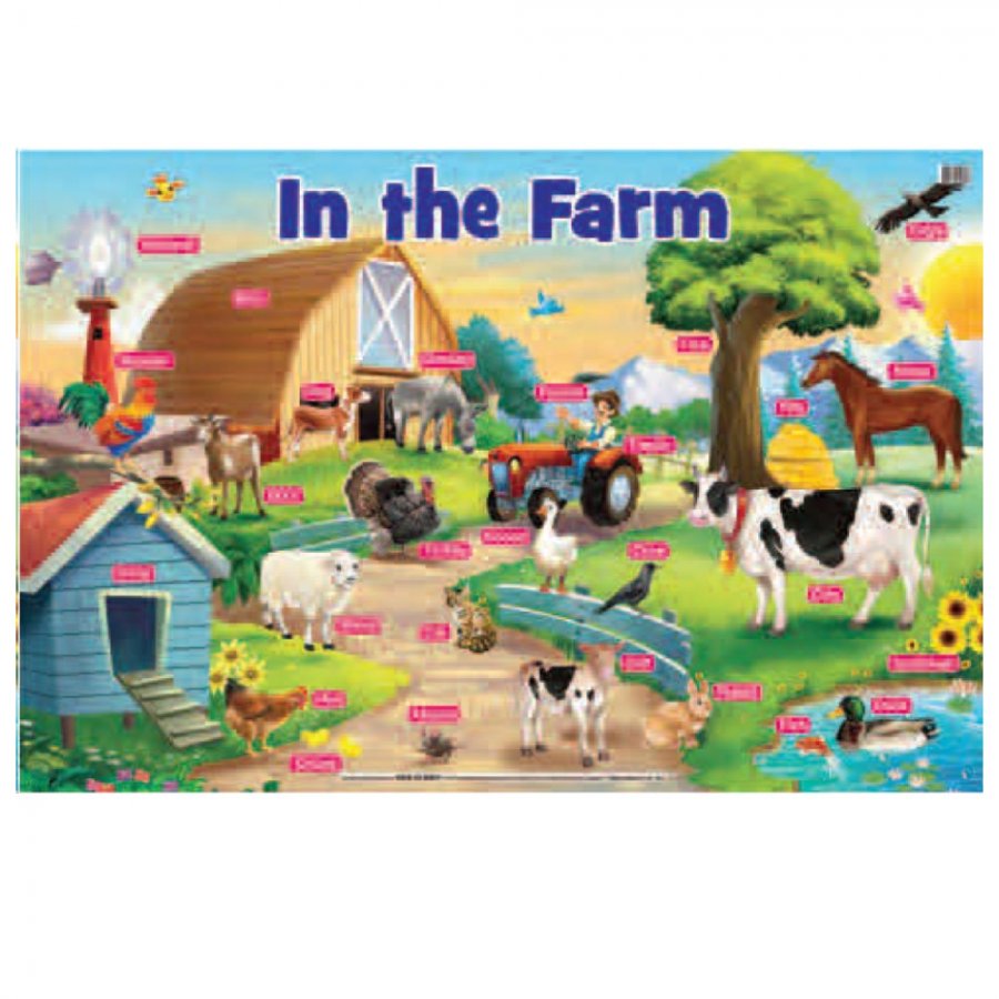 In the Farm - Educational Chart (MM24303)