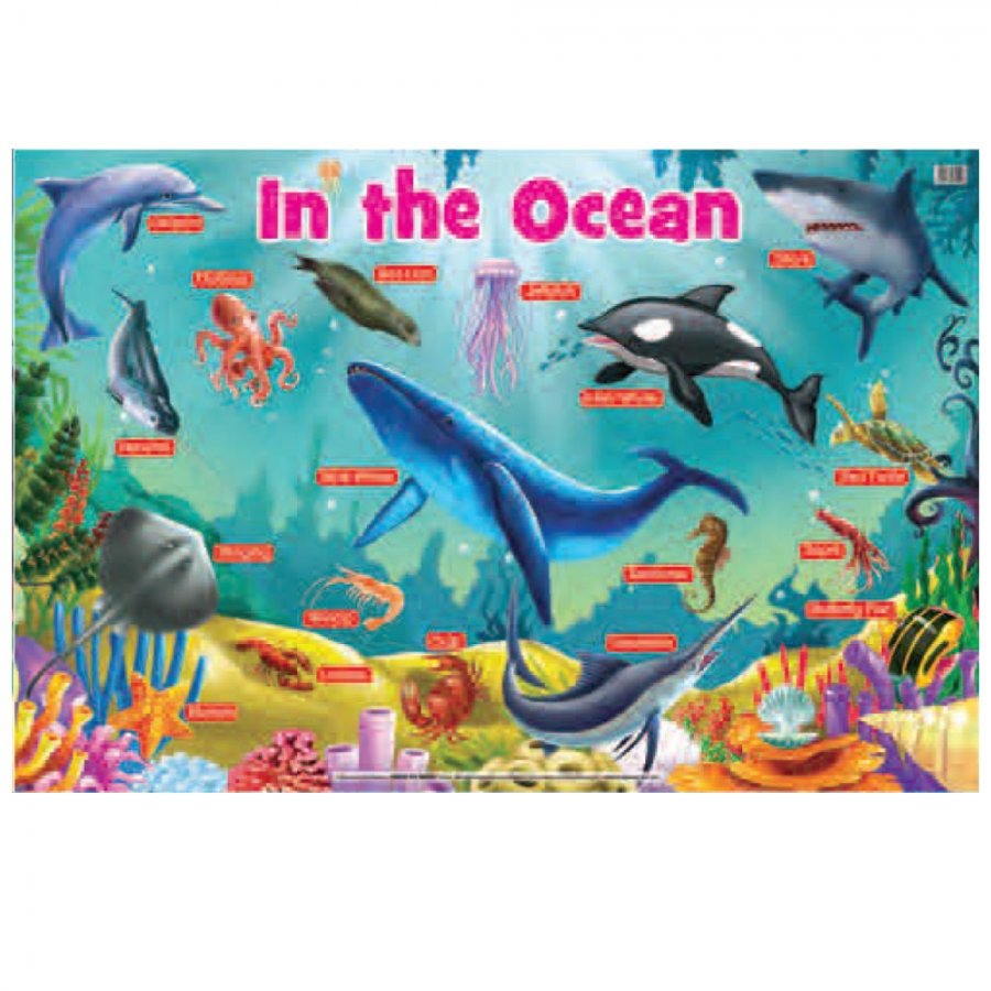 In the Ocean - Educational Chart (MM25003)