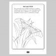 Australian ANIMALS Colour and Learn MM50678