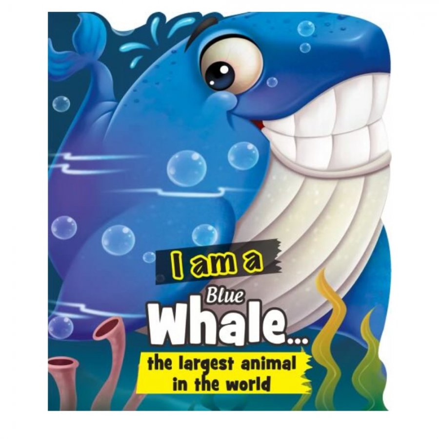 I am a Blue Whale (MM67388)