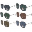 Metal Frame Polarized Sunglasses 2 Style Mixed PM6105/06