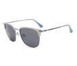 Classic Collection Polarized Metal Fashion Sunglasses (2 Style) PMF6105/11