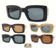 The Paris Collection Fashion Plastic Polarized Sunglasse 2 Styles Mixed PPF5349/5350