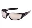 Swisssport Sunglasses - Gold Tag SW283