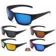 Swisssport Polarized Sunglasses 2 Style Mixed SWP303/05