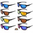 Swisssport Polarized Sunglasses 2 Style Mixed SWP308/17